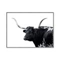 Picture of Spotted Bull  _GroupedProduct_Rectangle_Landscape_Photography _GroupedProduct_Rectangle_Landscape_Canvas_Framed_