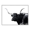 Picture of Spotted Bull  _GroupedProduct_Rectangle_Landscape_Photography _GroupedProduct_Rectangle_Landscape_Canvas_Framed_