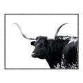 Picture of Spotted Bull  _GroupedProduct_Rectangle_Landscape_Photography _GroupedProduct_Rectangle_Landscape_Canvas_Framed_