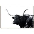 Picture of Spotted Bull  _GroupedProduct_Rectangle_Landscape_Photography _GroupedProduct_Rectangle_Landscape_Canvas_Framed_
