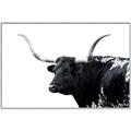 Picture of Spotted Bull  _GroupedProduct_Rectangle_Landscape_Photography _GroupedProduct_Rectangle_Landscape_Canvas_Framed_