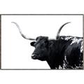 Picture of Spotted Bull  _GroupedProduct_Rectangle_Landscape_Photography _GroupedProduct_Rectangle_Landscape_Canvas_Framed_