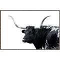 Picture of Spotted Bull  _GroupedProduct_Rectangle_Landscape_Photography _GroupedProduct_Rectangle_Landscape_Canvas_Framed_
