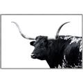 Picture of Spotted Bull  _GroupedProduct_Rectangle_Landscape_Photography _GroupedProduct_Rectangle_Landscape_Canvas_Framed_