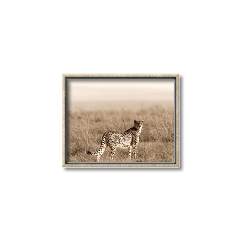 Picture of Spotted in the Savanna  _GroupedProduct_Rectangle_Landscape_Photography _GroupedProduct_Rectangle_Landscape_Canvas_Framed_