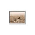 Picture of Spotted in the Savanna  _GroupedProduct_Rectangle_Landscape_Photography _GroupedProduct_Rectangle_Landscape_Canvas_Framed_