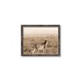 Picture of Spotted in the Savanna  _GroupedProduct_Rectangle_Landscape_Photography _GroupedProduct_Rectangle_Landscape_Canvas_Framed_