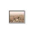 Picture of Spotted in the Savanna  _GroupedProduct_Rectangle_Landscape_Photography _GroupedProduct_Rectangle_Landscape_Canvas_Framed_