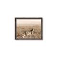 Picture of Spotted in the Savanna  _GroupedProduct_Rectangle_Landscape_Photography _GroupedProduct_Rectangle_Landscape_Canvas_Framed_