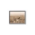 Picture of Spotted in the Savanna  _GroupedProduct_Rectangle_Landscape_Photography _GroupedProduct_Rectangle_Landscape_Canvas_Framed_