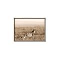 Picture of Spotted in the Savanna  _GroupedProduct_Rectangle_Landscape_Photography _GroupedProduct_Rectangle_Landscape_Canvas_Framed_