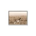 Picture of Spotted in the Savanna  _GroupedProduct_Rectangle_Landscape_Photography _GroupedProduct_Rectangle_Landscape_Canvas_Framed_