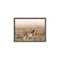 Picture of Spotted in the Savanna  _GroupedProduct_Rectangle_Landscape_Photography _GroupedProduct_Rectangle_Landscape_Canvas_Framed_