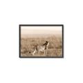 Picture of Spotted in the Savanna  _GroupedProduct_Rectangle_Landscape_Photography _GroupedProduct_Rectangle_Landscape_Canvas_Framed_