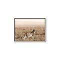 Picture of Spotted in the Savanna  _GroupedProduct_Rectangle_Landscape_Photography _GroupedProduct_Rectangle_Landscape_Canvas_Framed_