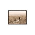 Picture of Spotted in the Savanna  _GroupedProduct_Rectangle_Landscape_Photography _GroupedProduct_Rectangle_Landscape_Canvas_Framed_