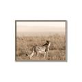 Picture of Spotted in the Savanna  _GroupedProduct_Rectangle_Landscape_Photography _GroupedProduct_Rectangle_Landscape_Canvas_Framed_