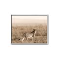 Picture of Spotted in the Savanna  _GroupedProduct_Rectangle_Landscape_Photography _GroupedProduct_Rectangle_Landscape_Canvas_Framed_
