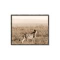 Picture of Spotted in the Savanna  _GroupedProduct_Rectangle_Landscape_Photography _GroupedProduct_Rectangle_Landscape_Canvas_Framed_