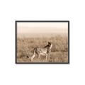 Picture of Spotted in the Savanna  _GroupedProduct_Rectangle_Landscape_Photography _GroupedProduct_Rectangle_Landscape_Canvas_Framed_