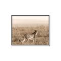 Picture of Spotted in the Savanna  _GroupedProduct_Rectangle_Landscape_Photography _GroupedProduct_Rectangle_Landscape_Canvas_Framed_