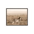 Picture of Spotted in the Savanna  _GroupedProduct_Rectangle_Landscape_Photography _GroupedProduct_Rectangle_Landscape_Canvas_Framed_