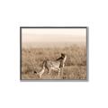 Picture of Spotted in the Savanna  _GroupedProduct_Rectangle_Landscape_Photography _GroupedProduct_Rectangle_Landscape_Canvas_Framed_