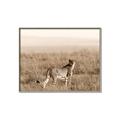 Picture of Spotted in the Savanna  _GroupedProduct_Rectangle_Landscape_Photography _GroupedProduct_Rectangle_Landscape_Canvas_Framed_