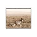 Picture of Spotted in the Savanna  _GroupedProduct_Rectangle_Landscape_Photography _GroupedProduct_Rectangle_Landscape_Canvas_Framed_