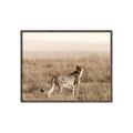 Picture of Spotted in the Savanna  _GroupedProduct_Rectangle_Landscape_Photography _GroupedProduct_Rectangle_Landscape_Canvas_Framed_