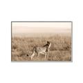 Picture of Spotted in the Savanna  _GroupedProduct_Rectangle_Landscape_Photography _GroupedProduct_Rectangle_Landscape_Canvas_Framed_