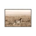 Picture of Spotted in the Savanna  _GroupedProduct_Rectangle_Landscape_Photography _GroupedProduct_Rectangle_Landscape_Canvas_Framed_