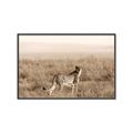 Picture of Spotted in the Savanna  _GroupedProduct_Rectangle_Landscape_Photography _GroupedProduct_Rectangle_Landscape_Canvas_Framed_