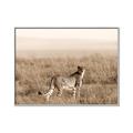 Picture of Spotted in the Savanna  _GroupedProduct_Rectangle_Landscape_Photography _GroupedProduct_Rectangle_Landscape_Canvas_Framed_