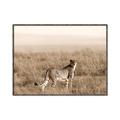 Picture of Spotted in the Savanna  _GroupedProduct_Rectangle_Landscape_Photography _GroupedProduct_Rectangle_Landscape_Canvas_Framed_