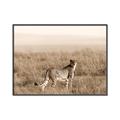 Picture of Spotted in the Savanna  _GroupedProduct_Rectangle_Landscape_Photography _GroupedProduct_Rectangle_Landscape_Canvas_Framed_