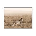 Picture of Spotted in the Savanna  _GroupedProduct_Rectangle_Landscape_Photography _GroupedProduct_Rectangle_Landscape_Canvas_Framed_