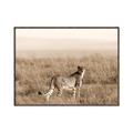 Picture of Spotted in the Savanna  _GroupedProduct_Rectangle_Landscape_Photography _GroupedProduct_Rectangle_Landscape_Canvas_Framed_