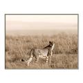 Picture of Spotted in the Savanna  _GroupedProduct_Rectangle_Landscape_Photography _GroupedProduct_Rectangle_Landscape_Canvas_Framed_