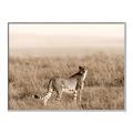 Picture of Spotted in the Savanna  _GroupedProduct_Rectangle_Landscape_Photography _GroupedProduct_Rectangle_Landscape_Canvas_Framed_