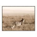 Picture of Spotted in the Savanna  _GroupedProduct_Rectangle_Landscape_Photography _GroupedProduct_Rectangle_Landscape_Canvas_Framed_