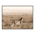 Picture of Spotted in the Savanna  _GroupedProduct_Rectangle_Landscape_Photography _GroupedProduct_Rectangle_Landscape_Canvas_Framed_
