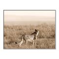Picture of Spotted in the Savanna  _GroupedProduct_Rectangle_Landscape_Photography _GroupedProduct_Rectangle_Landscape_Canvas_Framed_