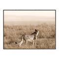 Picture of Spotted in the Savanna  _GroupedProduct_Rectangle_Landscape_Photography _GroupedProduct_Rectangle_Landscape_Canvas_Framed_