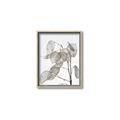 Picture of Sprout & Jar _GroupedProduct_Rectangle_Portrait_Photography _GroupedProduct_Rectangle_Portrait_Canvas_Framed_