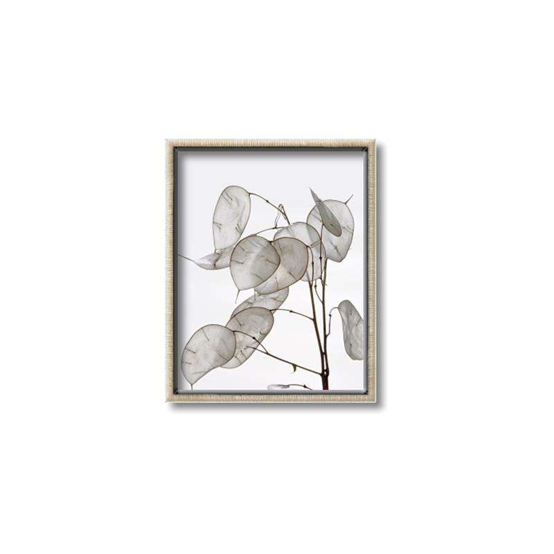 Picture of Sprout & Jar _GroupedProduct_Rectangle_Portrait_Photography _GroupedProduct_Rectangle_Portrait_Canvas_Framed_