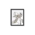 Picture of Sprout & Jar _GroupedProduct_Rectangle_Portrait_Photography _GroupedProduct_Rectangle_Portrait_Canvas_Framed_