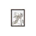 Picture of Sprout & Jar _GroupedProduct_Rectangle_Portrait_Photography _GroupedProduct_Rectangle_Portrait_Canvas_Framed_