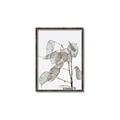 Picture of Sprout & Jar _GroupedProduct_Rectangle_Portrait_Photography _GroupedProduct_Rectangle_Portrait_Canvas_Framed_