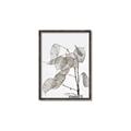 Picture of Sprout & Jar _GroupedProduct_Rectangle_Portrait_Photography _GroupedProduct_Rectangle_Portrait_Canvas_Framed_